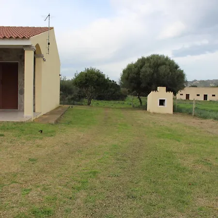 Miele * Olbia